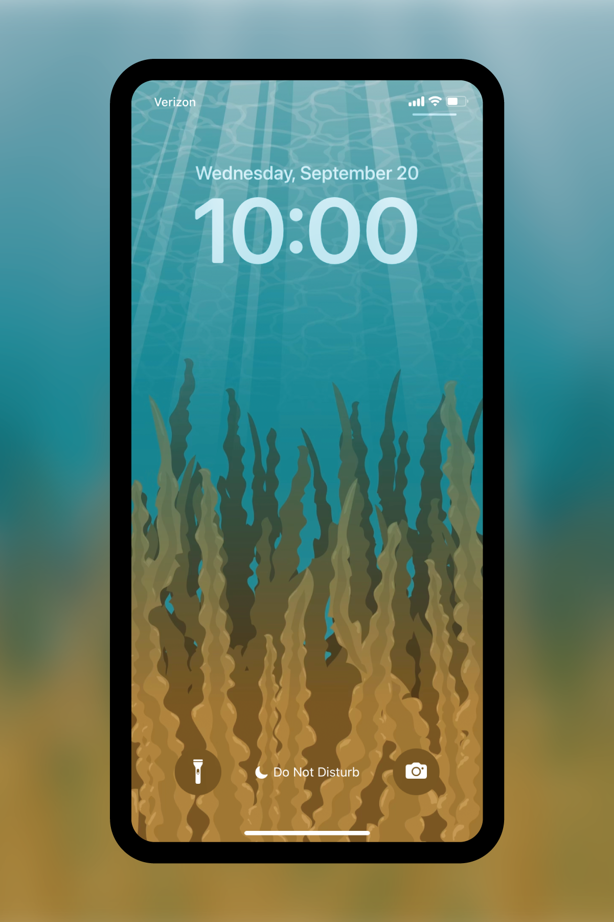 Kelp Phone Wallpaper